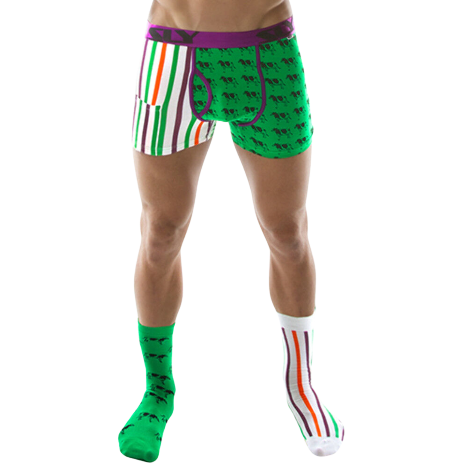 SafeStash Briefs & Socks image 1