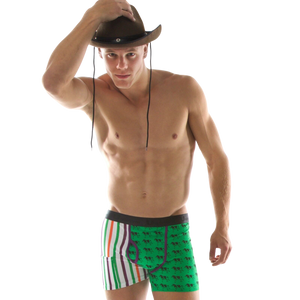 SafeStash Briefs & Socks image 4